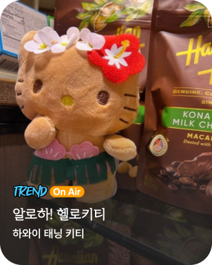 트렌드온에어 - 태닝키티